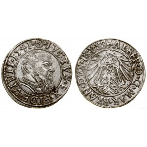 Knížecí Prusko (1525-1657), groš, 1541, Königsberg