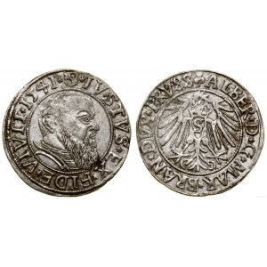 Prusy Książęce (1525-1657), grosz, 1541, Królewiec