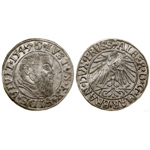 Ducal Prussia (1525-1657), penny, 1543 !, Königsberg