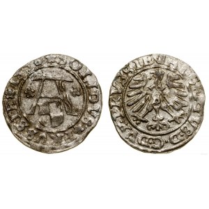 Knížecí Prusko (1525-1657), šelak, 1558, Königsberg