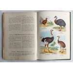 Dyakowski, Atlas of the Animal State - Birds, 1905.