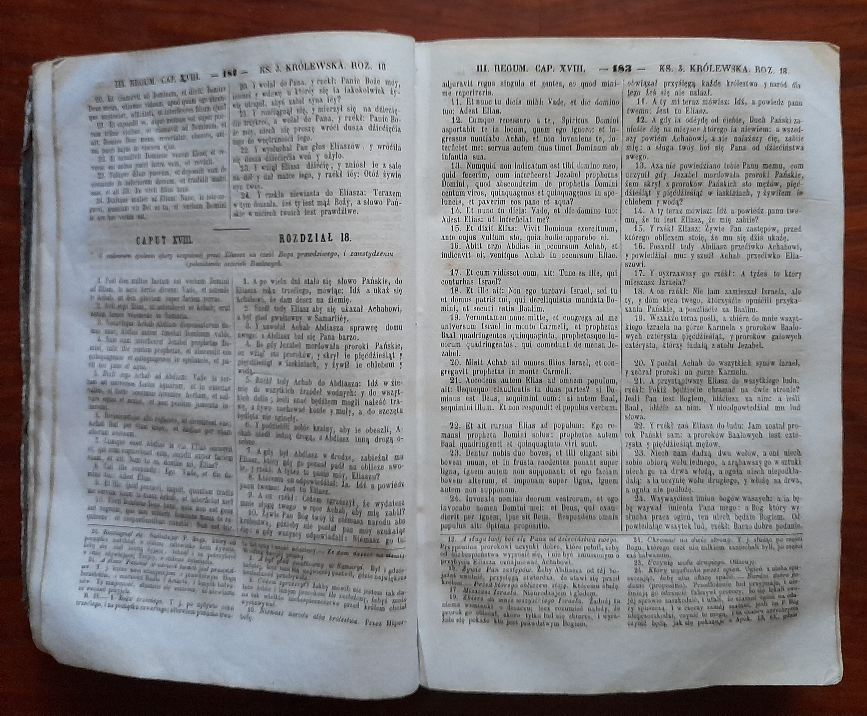 biblia-aci-sko-polska-czyli-pismo-wi-te-starego-i-nowego-testamentu