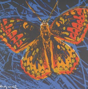 Andy WARHOL, MOTYL