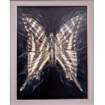 Anastasia Markovych, Butterfly