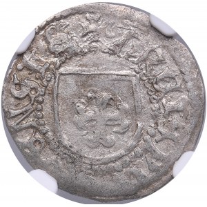 Riga schilling ND - Michael Hildebrand and Wolter von Plettenberg (1500-1509) - NGC AU 55