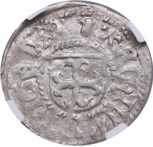 Riga schilling ND - Michael Hildebrand and Wolter von Plettenberg (1500-1509) - NGC MS 61