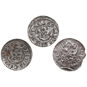 Small group of Riga Solidus (3)