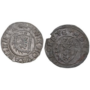 Small group of coins: Courland Schlling 1576 (2)