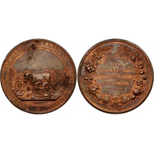Russia Table Prize Medal Provincial Exhibition of Rural Works 1845 - 1852 (ND)