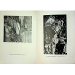 [KATALÓG] Katalóg poľskej maliarskej a sochárskej galérie 20. storočia Vydané v roku 1963