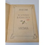 BRZECHWA Jan - NA WYSPACH BERGAMUTACH, MRÓWKA Ilustracje WIERCIEŃSKI