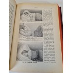 SPRINGER Jenny - A MEDICINE SAVING THE HEALTH Volume I-II Edition 1928.