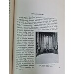 HISTORJA SZTUKI Volume I-III Lvov 1934 RADZISZEWSKI COVERAGE