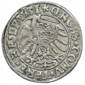 Zygmunt I Stary, grosz 1531, Toruń