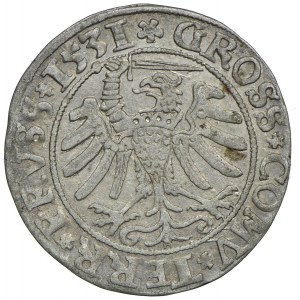 Sigismund I. der Alte, Pfennig 1531, Toruń