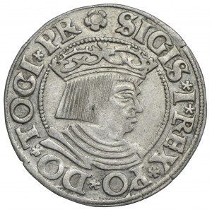 Žigmund I. Starý, penny 1533, Gdansk