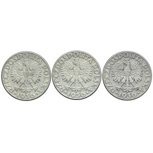 2 złote 1936, Żaglowiec (3szt.)