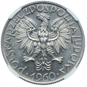 5 złotych 1960, NGC MS65