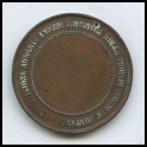 ITALY, Kingdom Cuneo industry commemorative medal, 1878