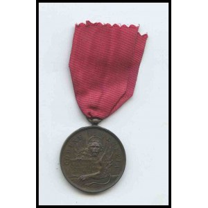 ITALY, Kingdom Commune of Venice Medal