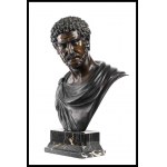 Bust of Emperor Septimius Severus, 19th-20th century