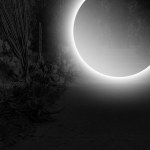 Karolina Kowalska (ur. 1978), Krwawy Księżyc z cyklu: Kalendarz Lunarny/ Lunar Calender; 2018/2021