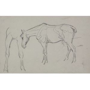 Karol KOSSAK (1896-1975), Szkice pasącego się konia, [1922]