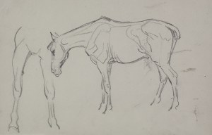 Karol KOSSAK (1896-1975), Szkice pasącego się konia, [1922]
