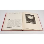 ROMEYKO Marian [Hrsg.] - Zu Ehren der gefallenen Flieger. Gedenkbuch [1933] [Einband des Verlages].