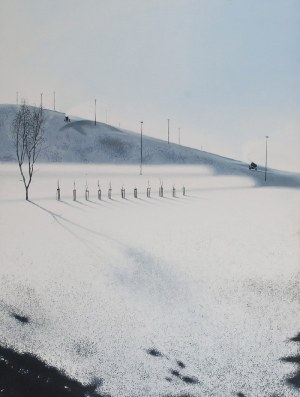 Maciej NAWROT (ur. 1986), Bez tytułu (Armatki), 2012