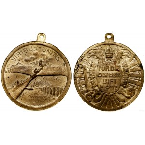 Austria, medal Für die Österreichische Luftflotte, 1913