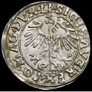 Sigismund II Augustus, Half-penny 1553, Vilnius - LI/LITVA - rare and beautiful