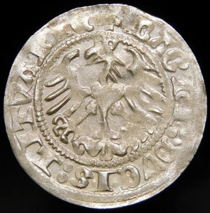 Sigismund I the Old, Half-penny 1513, Vilnius