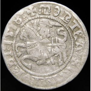 Zygmunt I Stary, Półgrosz 1518, Wilno - błąd, MONTEA - dwukropek, czterokropek - rzadki