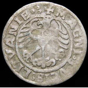 Sigismund I the Old, Half-penny 1519, Vilnius - 6 feathers on the left - triple dot - very rare.