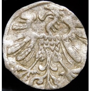 Sigismund II Augustus, Denarius 1558, Vilnius