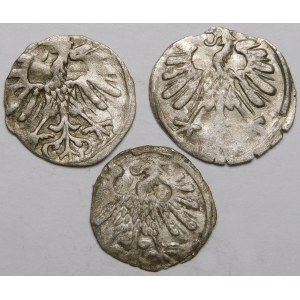 Sigismund II Augustus, Vilnius Denarii - set (pcs. 3)
