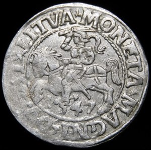Zikmund II August, půlpenny 1547, Vilnius - starší typ Pogonu - LI/LITVA - vzácný