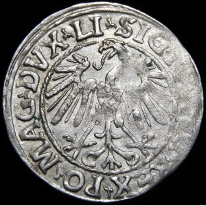 Zikmund II August, půlpenny 1547, Vilnius - starší typ Pogonu - LI/LITVA - vzácný
