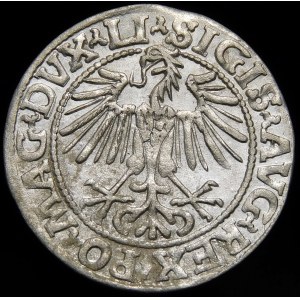Zikmund II August, půlgroš 1548, Vilnius - arabská 1, LI/LITVA - krásná