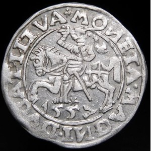 Zikmund II August, Půlpenny 1557, Vilnius - trojčata - Behm