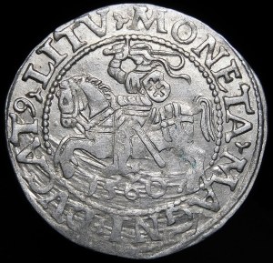 Sigismund II Augustus, Half-penny 1560, Vilnius - DVX LI/LITV