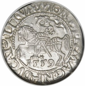 Sigismund II Augustus, Half-penny 1559, Vilnius - L/LITVA - beautiful