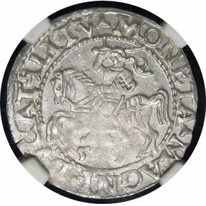 Zygmunt II August, Półgrosz 1559, Wilno - LI/LITV - rzadki i piękny