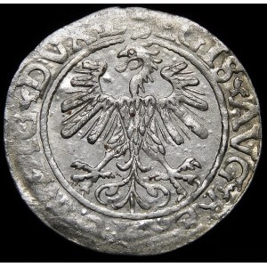 Sigismund II Augustus, Half-penny 1560, Vilnius - DVX L/LITV