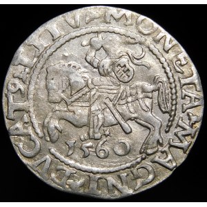 Zygmunt II August, Półgrosz 1560, Wilno - DVX L/LITV