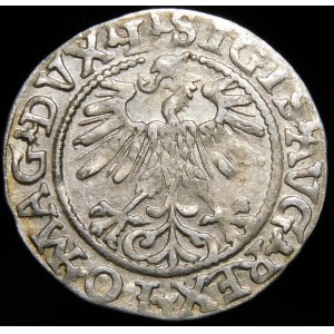 Zygmunt II August, Półgrosz 1560, Wilno - DVX L/LITV
