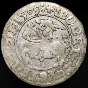 Sigismund I the Old, Half-penny 1509, Vilnius - Pogon without scabbard - dot - very rare.