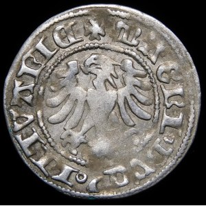 Alexander Jagiellonian, Vilnius half-penny - without ring, small gap - rare