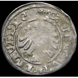 Alexander Jagiellonian, Vilnius half-penny - Gothic - 3rd issue - interval - rare